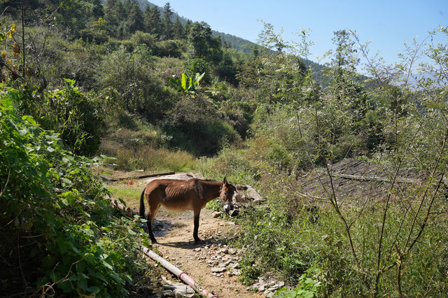 連山油嶺瑤寨