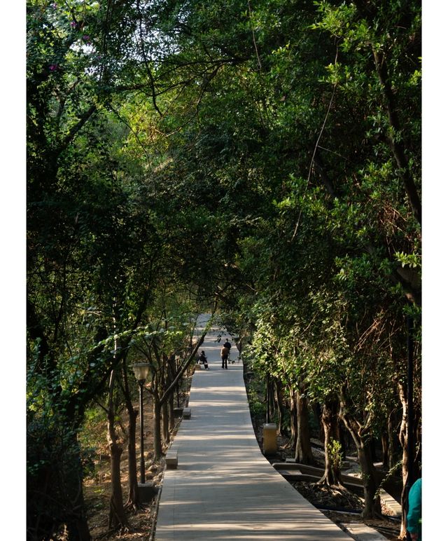 紅花山公園｜不出片可能是缺個攝影師。