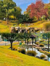 我宣布！這裡是武漢秋天最美的公園！