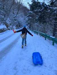 屁股坐爛去看雪