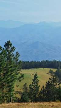 據說這裡的高山草甸獨屬海南·同款阿勒泰天花板