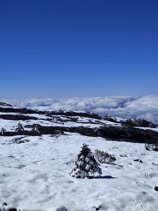 雲南昆明轎子雪山｜治癒你的巍峨壯麗雪世界