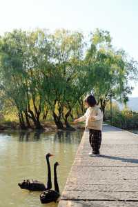 湖州乘船而入的公園 還有稻草人展