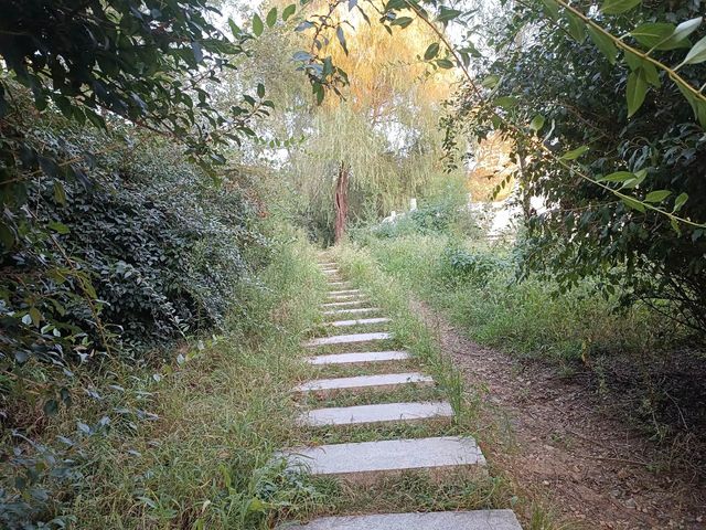 撫順月牙島生態公園：城市中的詩意綠洲