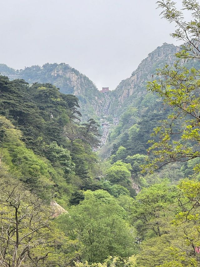 7日玩遍泰安-青島-威海超全攻略 不踩雷 7日玩遍泰安-青島-威海超全攻略 不踩雷