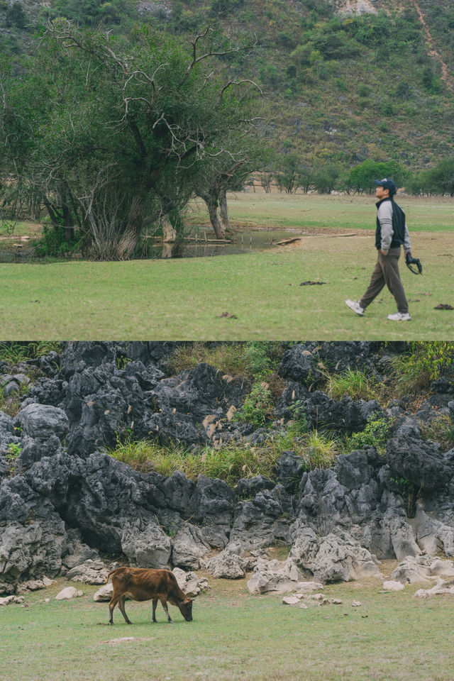 陇卡赖|稍為遺憾的一站,等到春天會更美 陇卡赖|稍為遺憾的一站,等到春天會更美