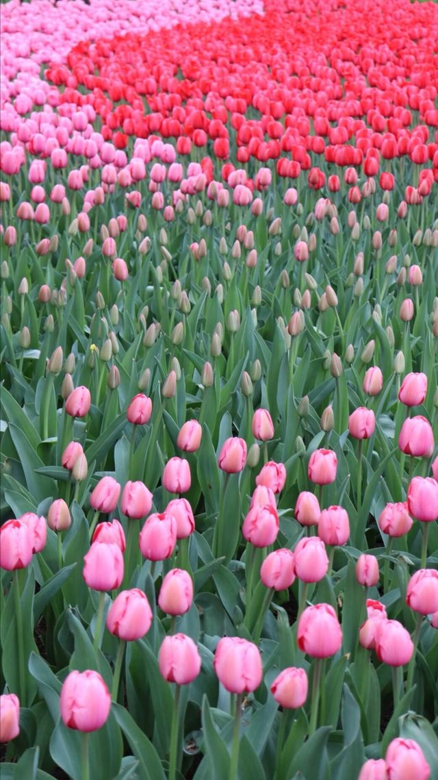 西寧人民公園，