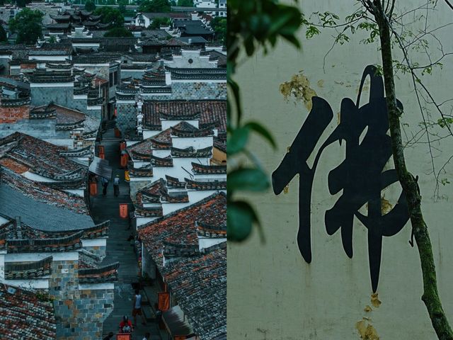 咬一口鴨頭，跟著鴨頭去旅行。