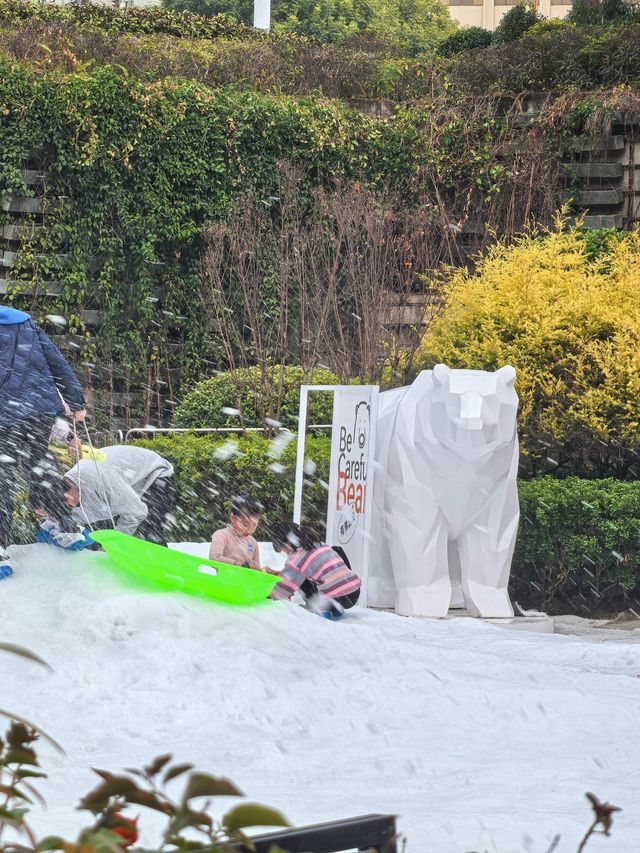 這次！廈門是真的下雪啦！孩子玩瘋了～