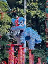 我願稱它為佛山版繁花"黃河路"|廣東千古情