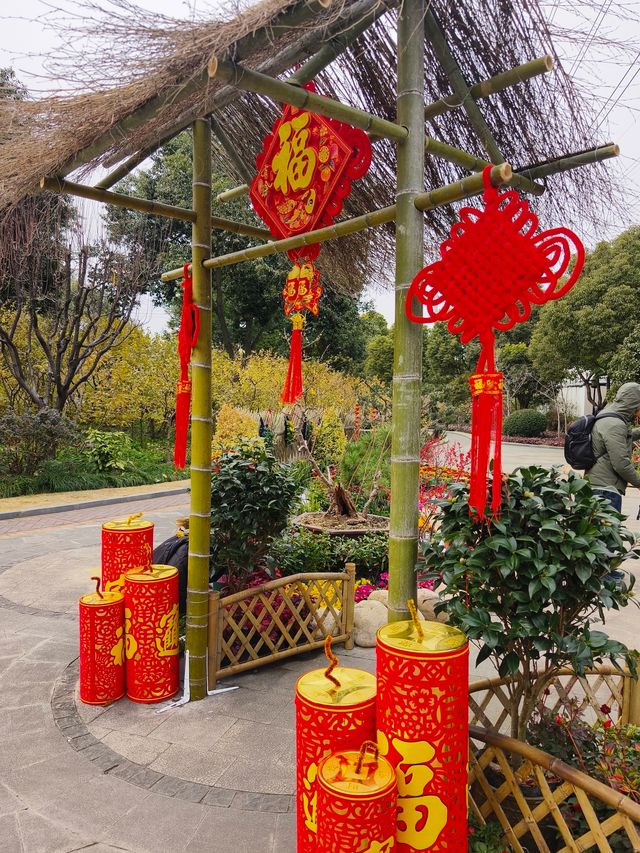 小眾公園有臘梅展