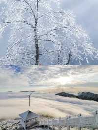 本周末清遠雲冰山看 2025 年第一場霧凇