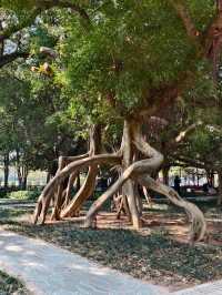 廣西北海市的中山公園