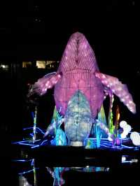 ——深圳市香蜜公園：璀璨燈展之美