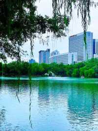 人文和風光融為一體；包公園