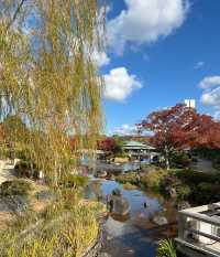 日本堺市大仙公園｜隱藏在城市中的趣味遊玩寶藏地