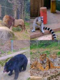 重慶周邊遊！和動物一起過春節！