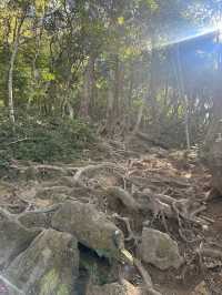 翻山越嶺到五指山 探秘三亞原始森林的神秘力量