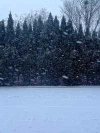 雪後的煙台就是童話世界