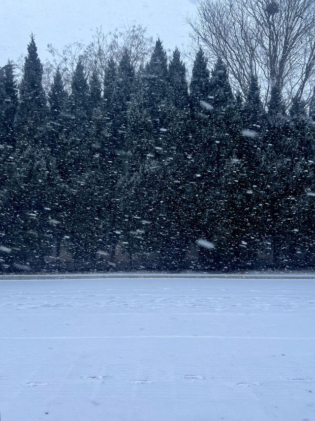 雪後的煙台就是童話世界