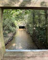 克勞利沃斯公園：我的英倫田園夢