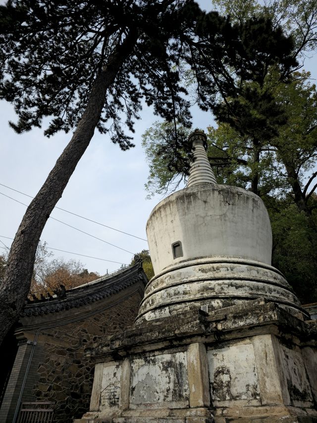 秋季潭柘寺旅遊攻略