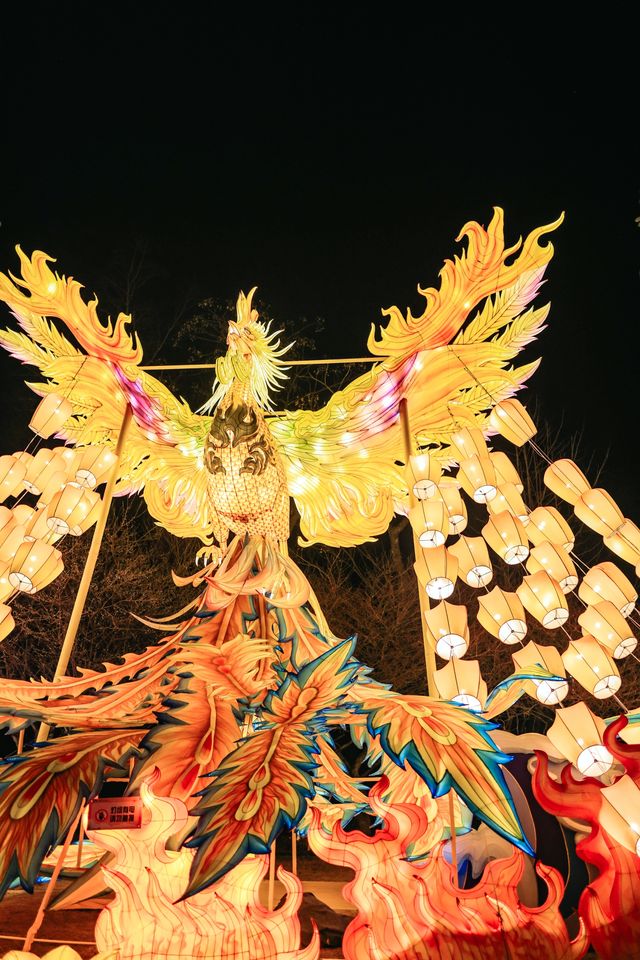 新昌大佛寺|賞花燈，遊古寺，邂逅一場禪意與美景