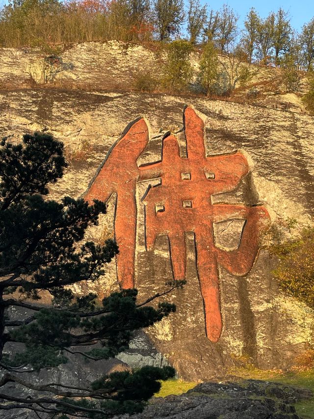 紹興新昌大佛寺｜一沙一世界，一葉一菩提