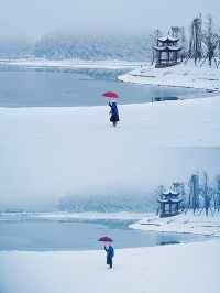 雪落南天湖，繪就冬日幻景