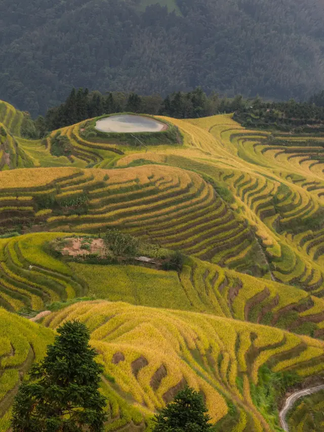 冬天的桂林 4日遊攻略 別錯過哦