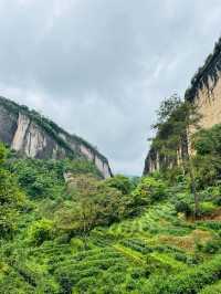 寒假玩轉武夷山 4日暢遊全攻略
