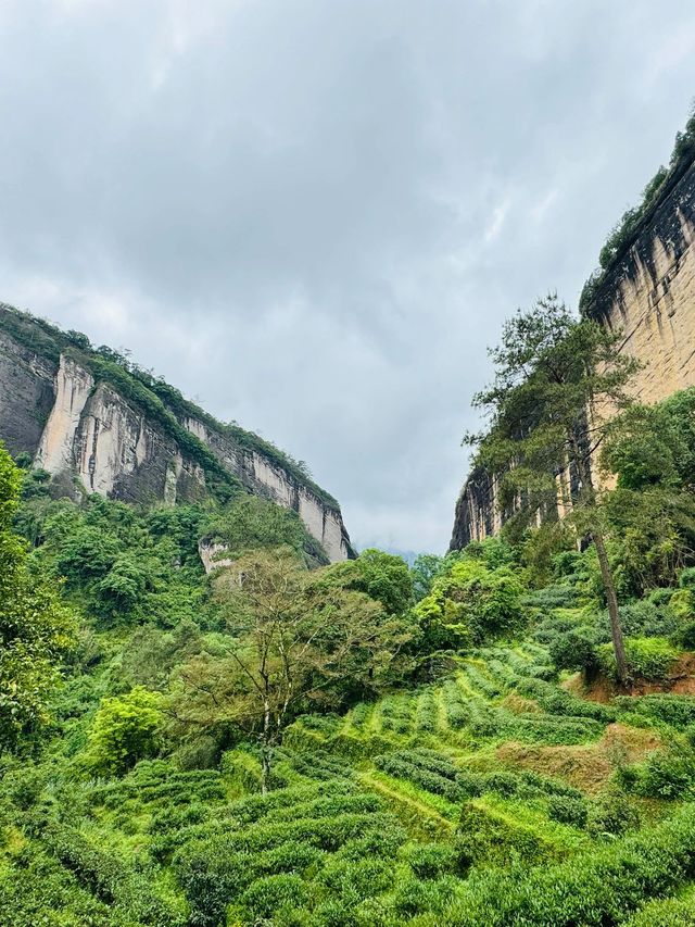 寒假玩轉武夷山 4日暢遊全攻略
