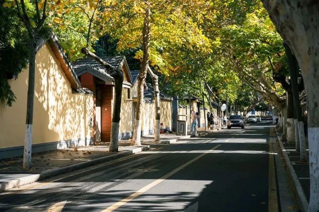 玄武湖畔的新選擇