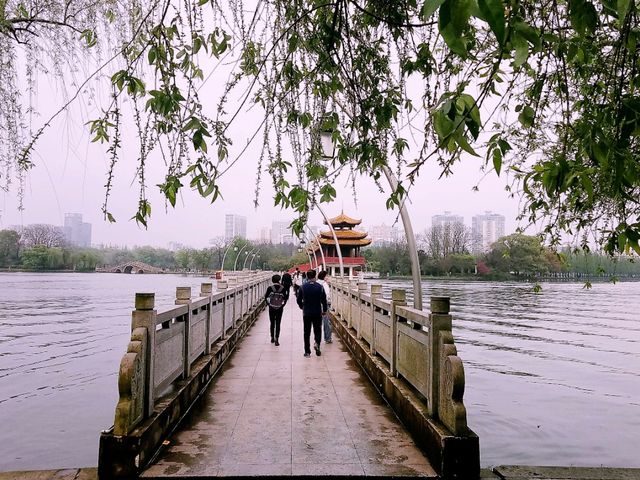 What To Do in Changsha When You have 10 Days Visa Free Transit?