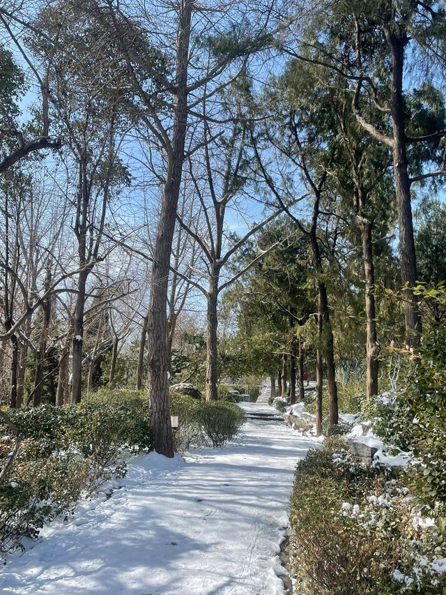 寒假遊山東濟南—泰山 美景不容錯過要去