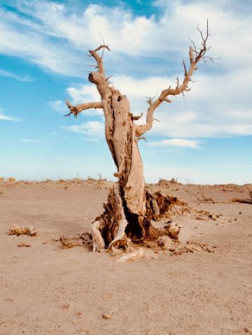 內蒙古-甘肅長者遊：超實用攻略 必打卡路線