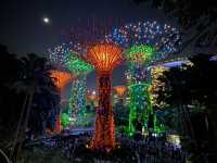 SG超級樹燈光秀：夜幕下的奇幻森林🌌🌳✨