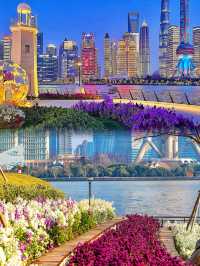 應承我來上海，這樣逛夜景才不會有遺憾