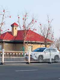麗景海灣酒店：經典美景，令人流連忘返