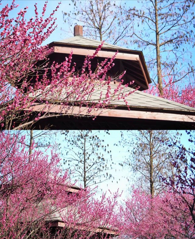 日湖公園