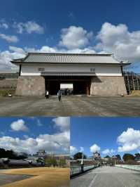日本對馬市