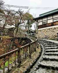 犬山市小眾秘境｜在犬山城與三光稻荷神社尋日式古韻
