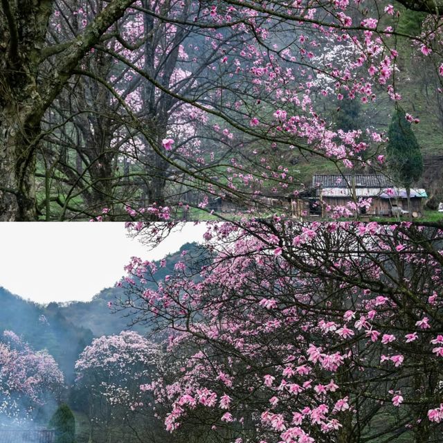 後來才知道，所謂的秘境是真實存在的