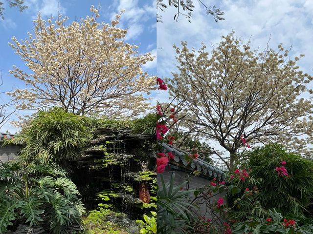 奉化春日賞花全攻略來啦! 奉化春日賞花全攻略來啦!