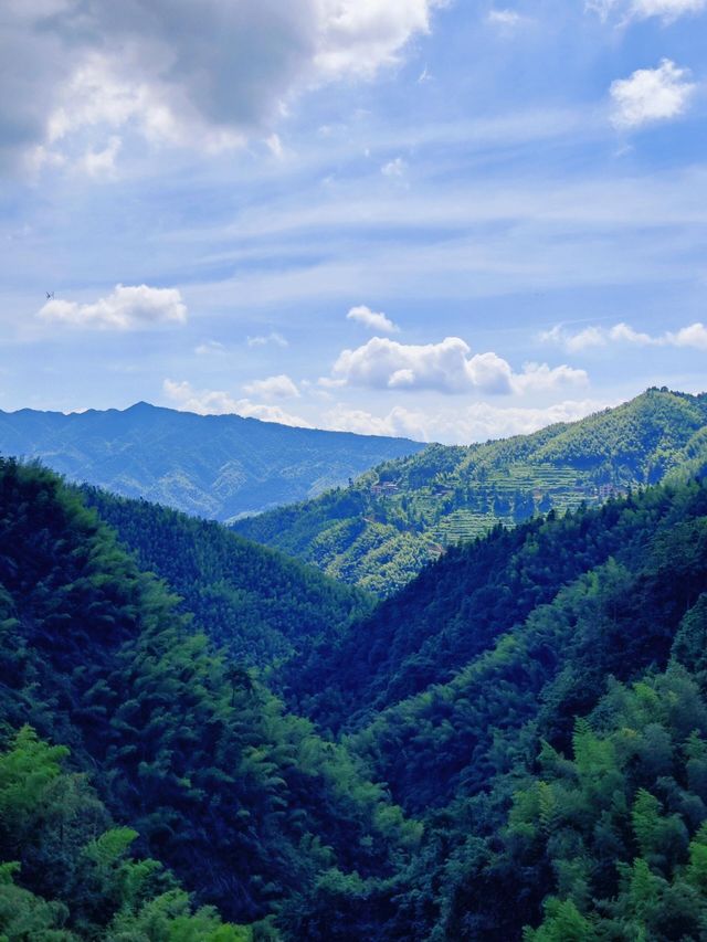 雲端上的浪漫密碼