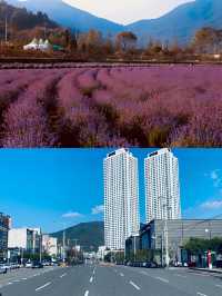 韓國光陽，一個優美的港灣城市