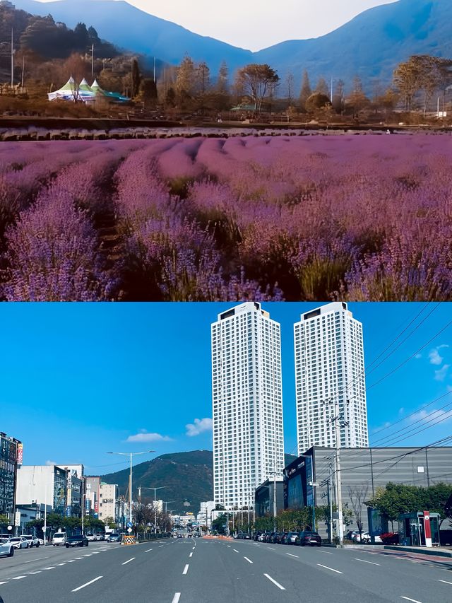 韓國光陽，一個優美的港灣城市