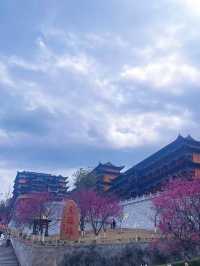 東華禪寺深度游攻略