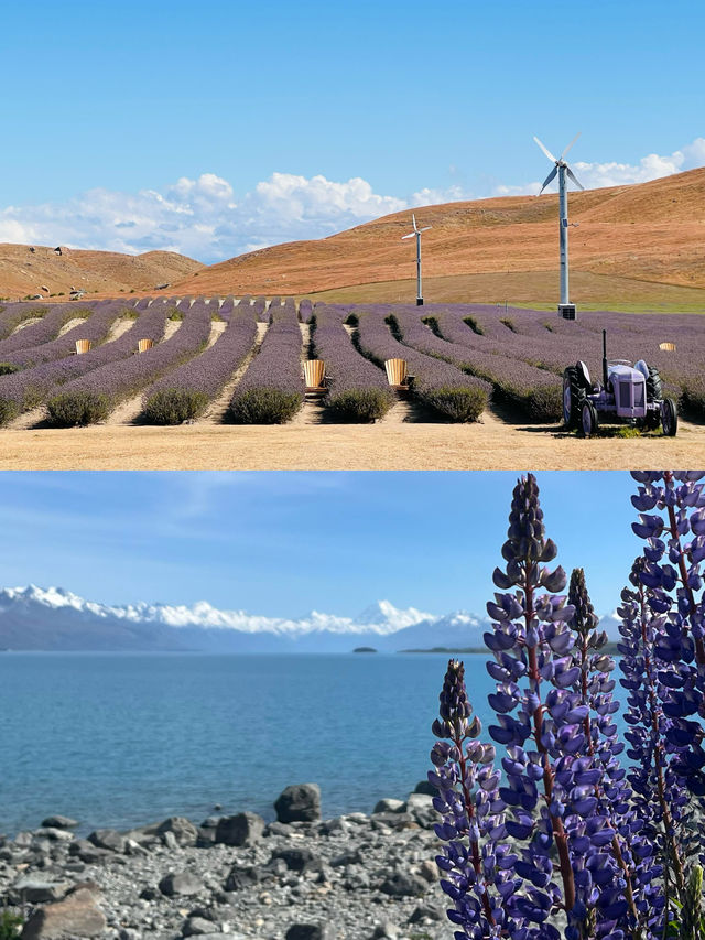 闖進現實中土世界｜庫克山村奇幻攻略