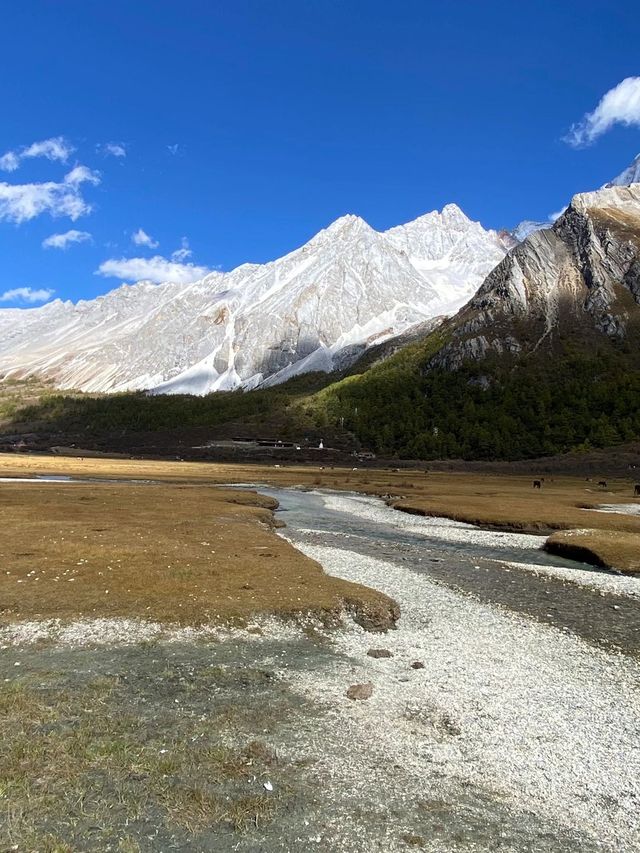 清明小長假 四川稻城-康定-新都橋等你來探索